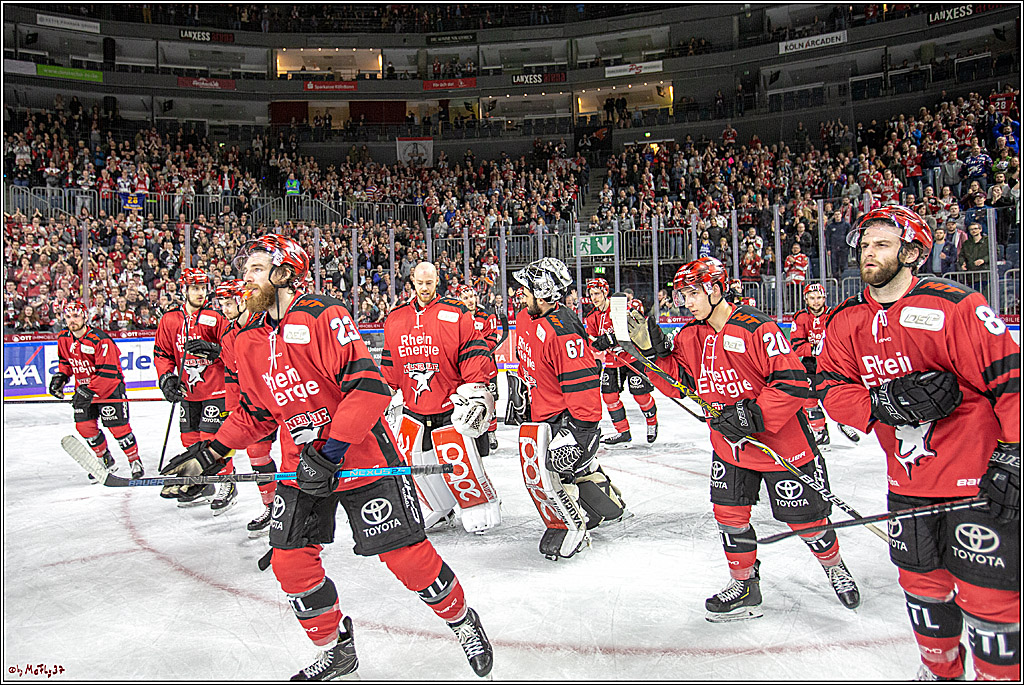 DEL; Koelner Haie - Adler Mannheim, 09.04.2019